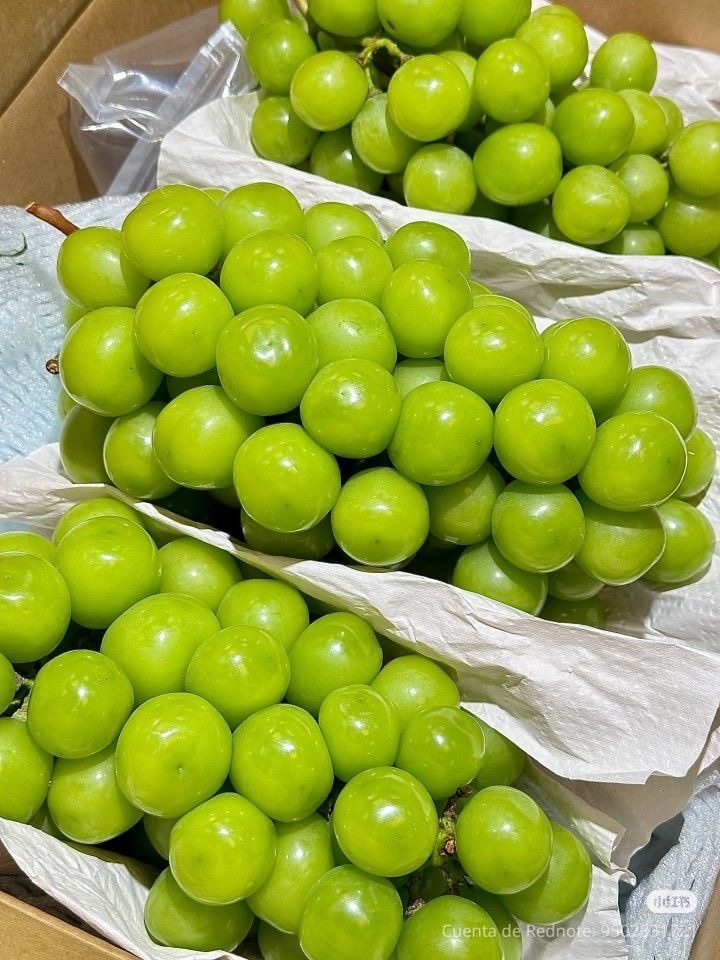 Anggur Muscat Hijau Beli 1 Gratis 1