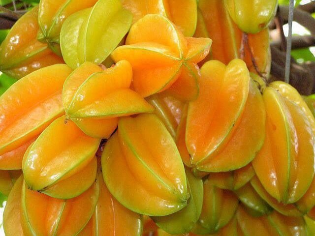 Belimbing Fresh Madu