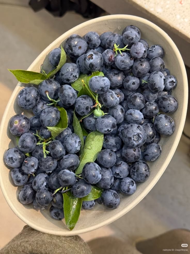 Blueberry Impor 125gr