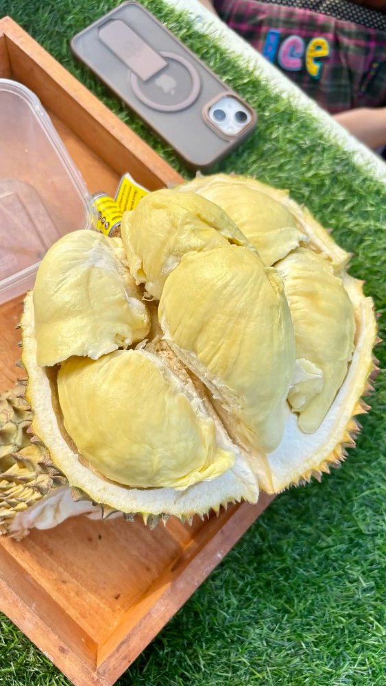 Durian Monthong Lokal