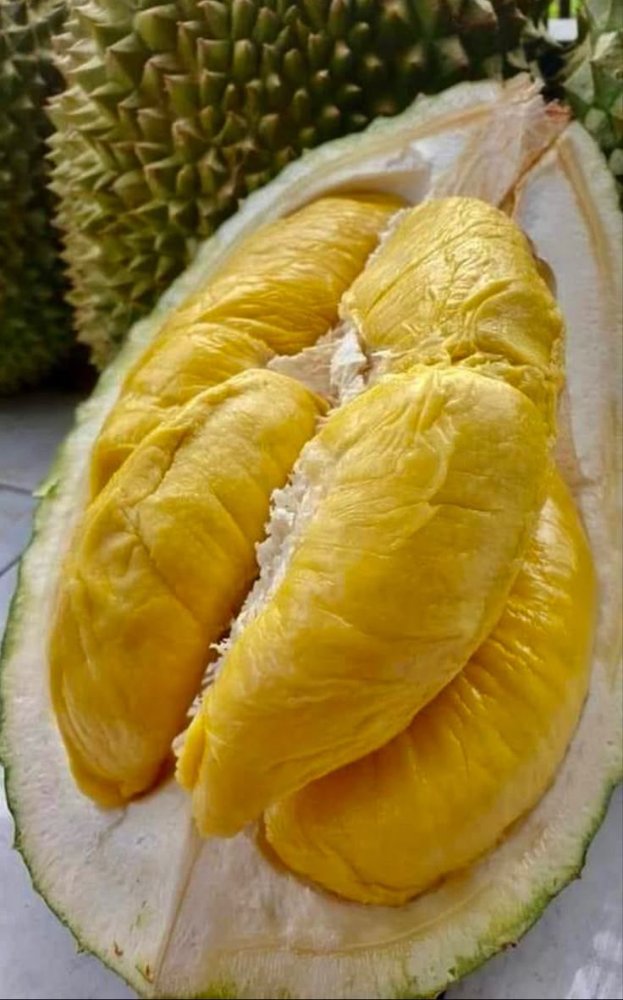 Durian Monthong Thailand / Box