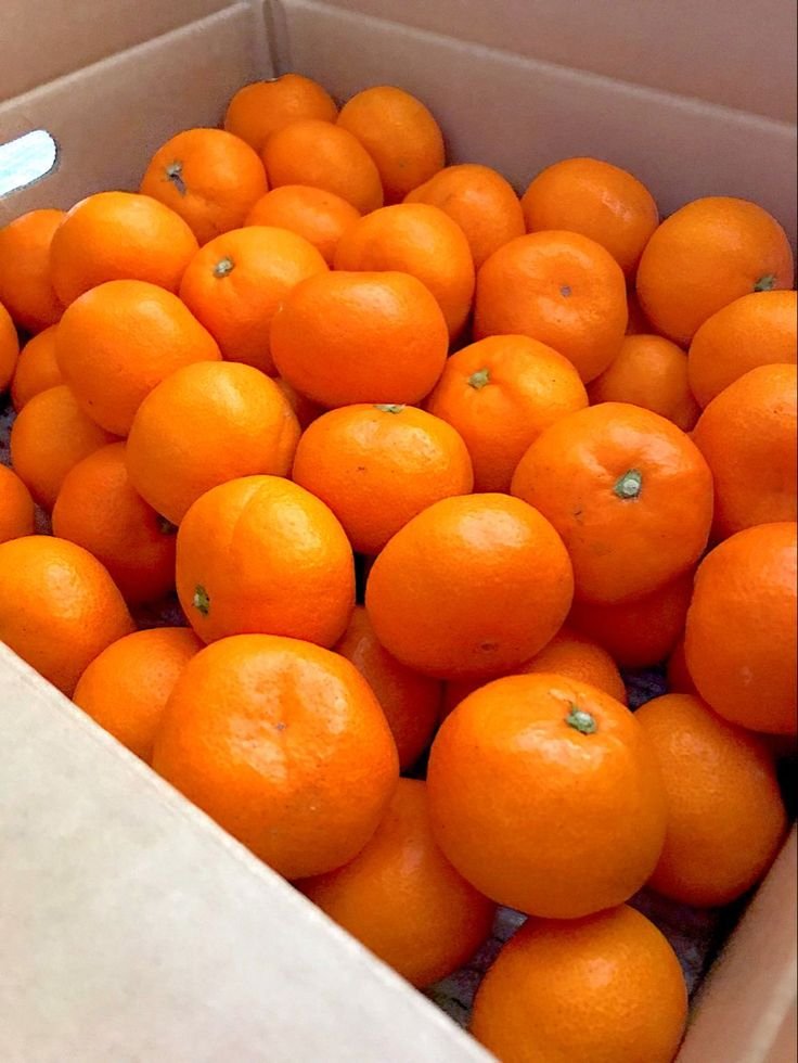 Jeruk Mandarin Afourer
