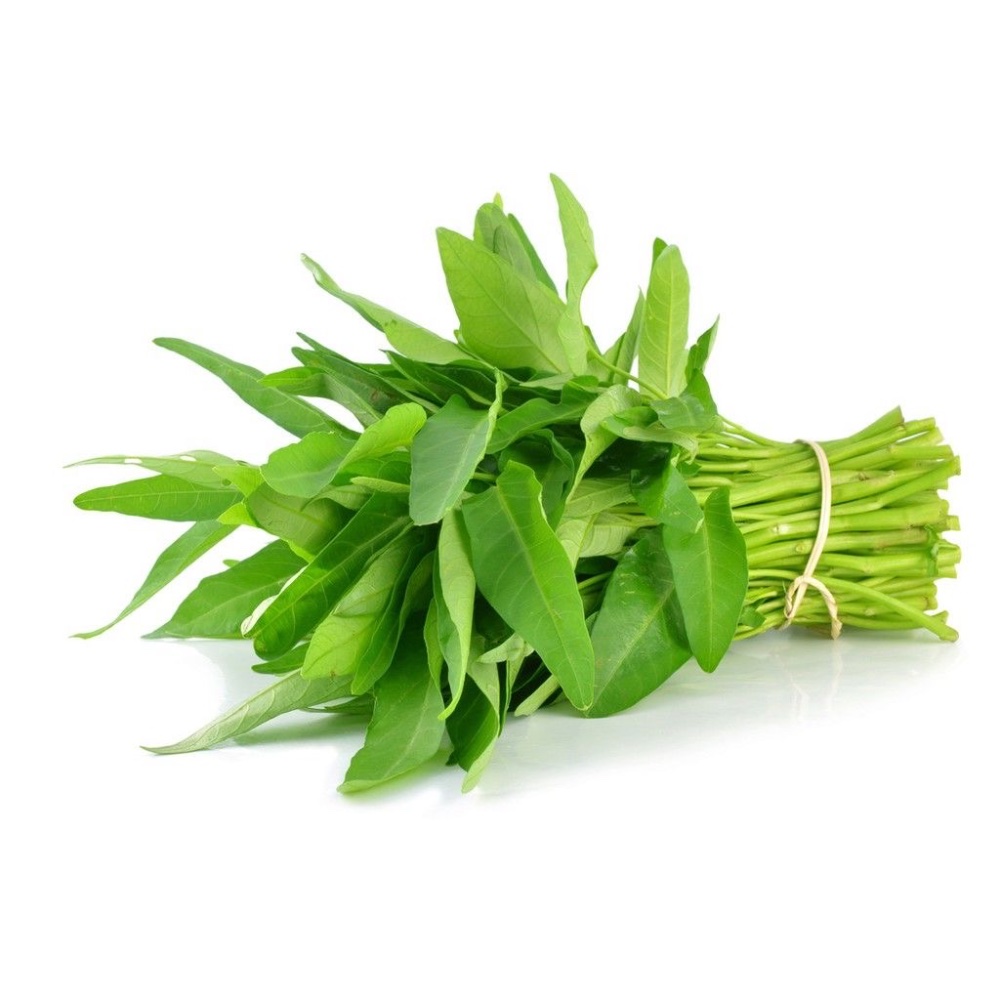 Kangkung Segar /Ikat