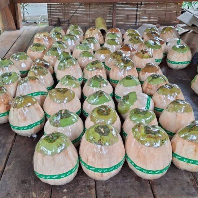 Kelapa Kopyor