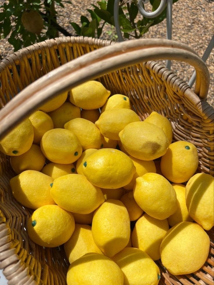 Lemon Impor