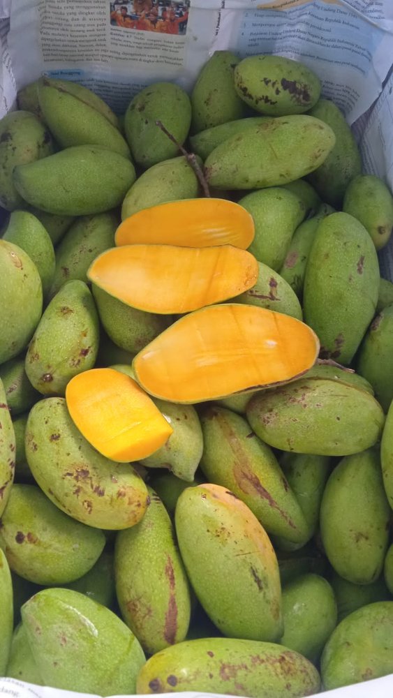 Mangga Golek