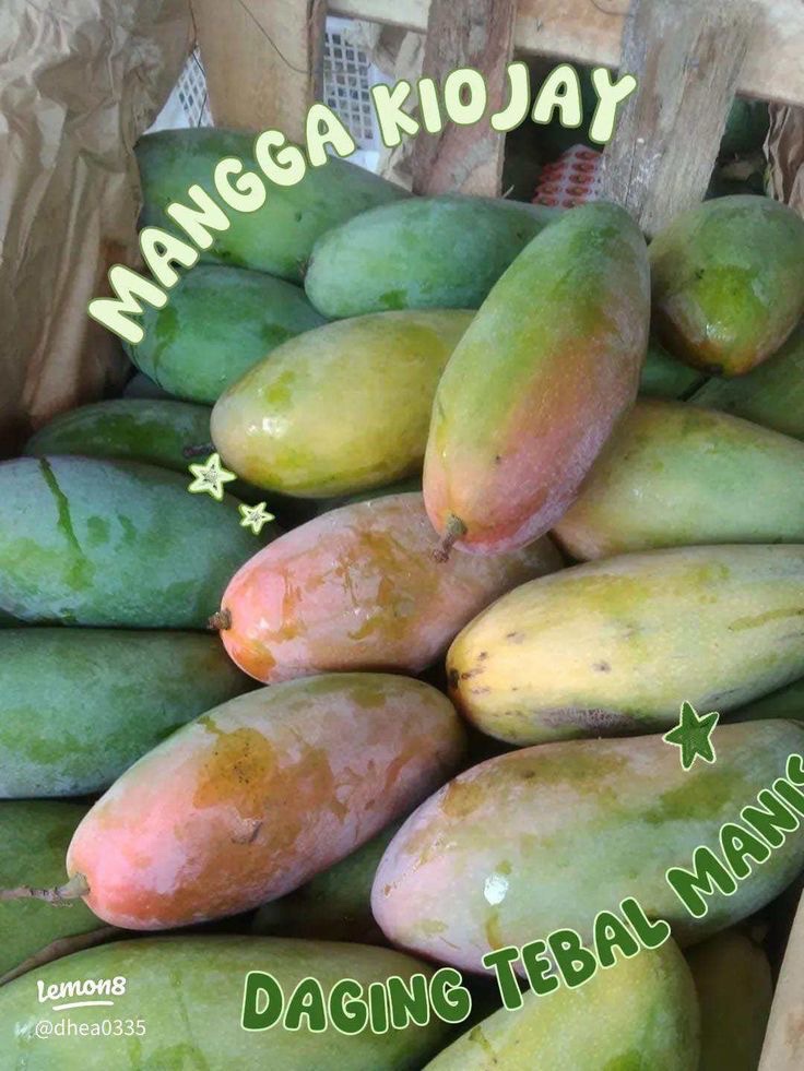 Mangga Kiojay 1kg