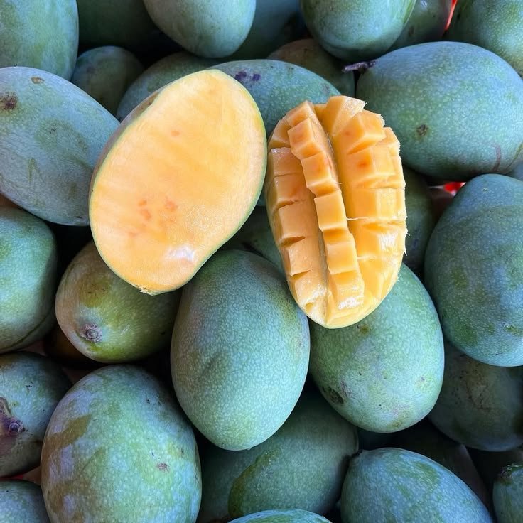 Mangga Manalagi