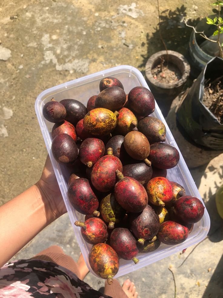 Matoa Papua Per 500gram