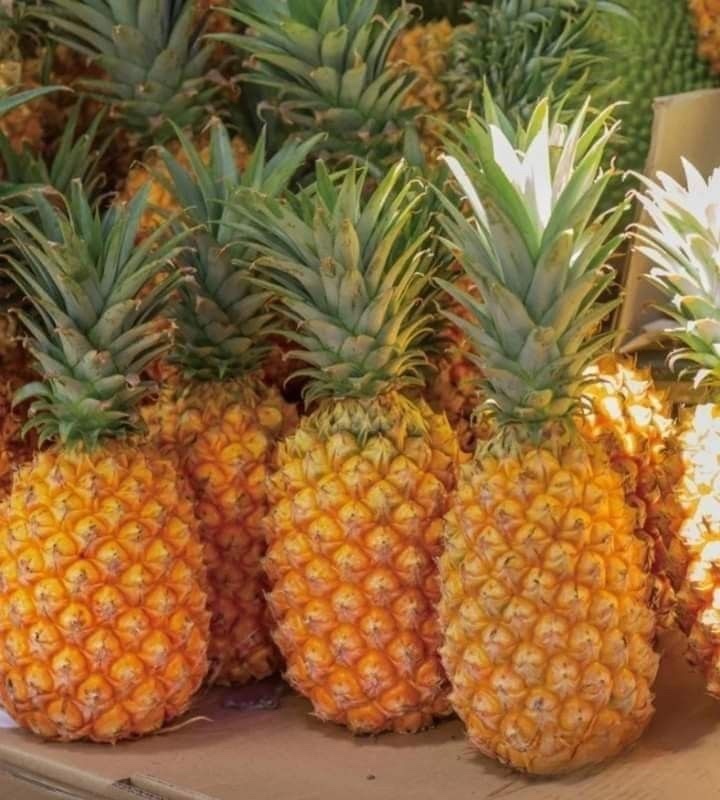 Nanas Kelud