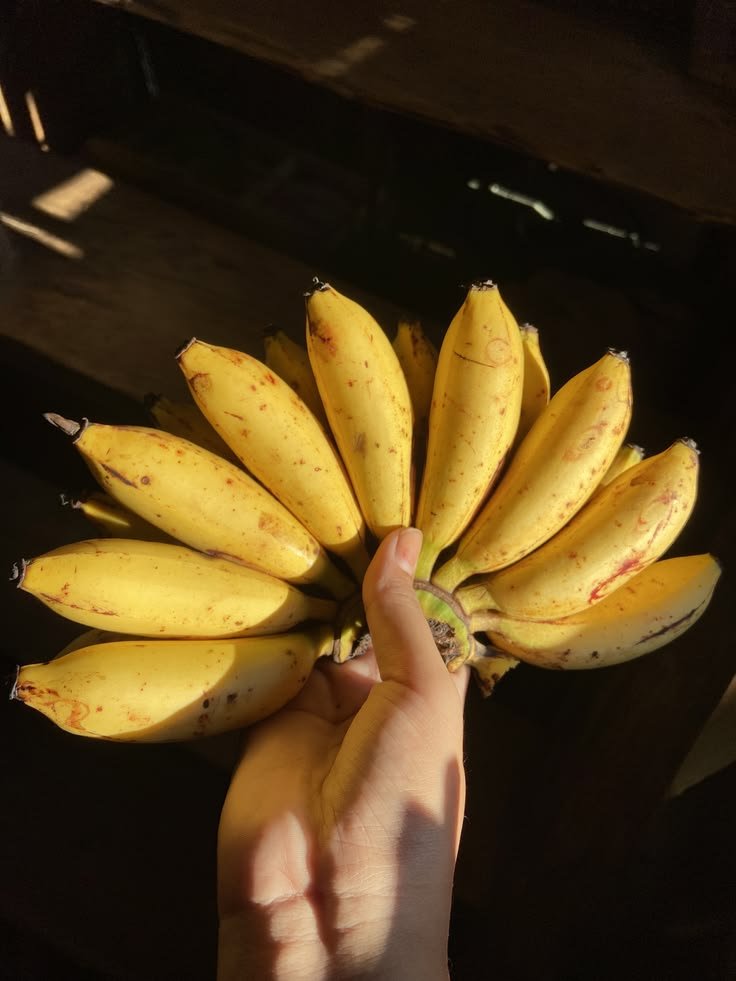 Pisang Raja Bulu - 12/14
