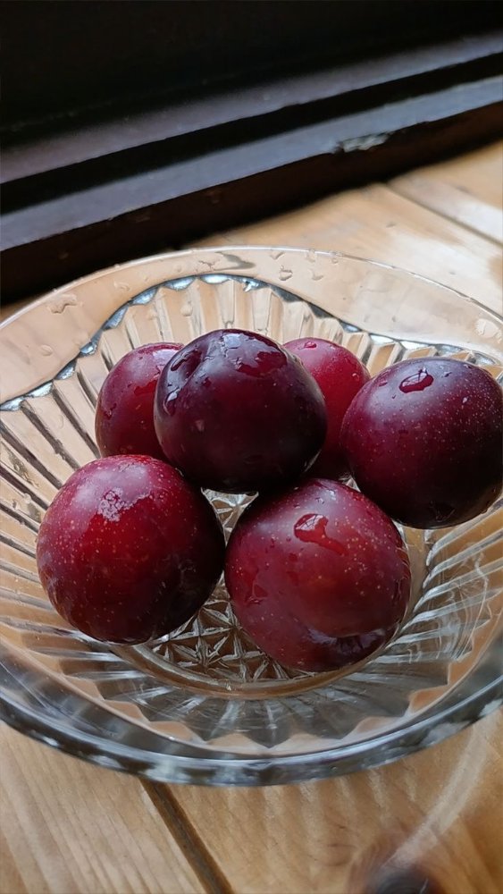 Plum Merah