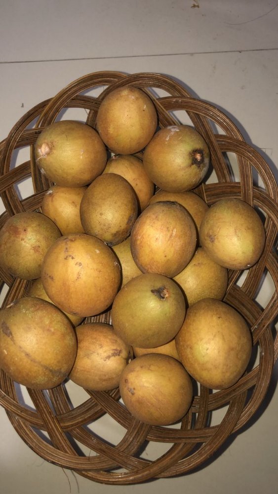 Sawo / 4 buah
