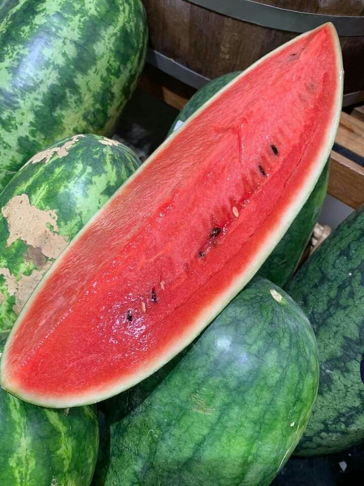 Semangka Setengah Bulat