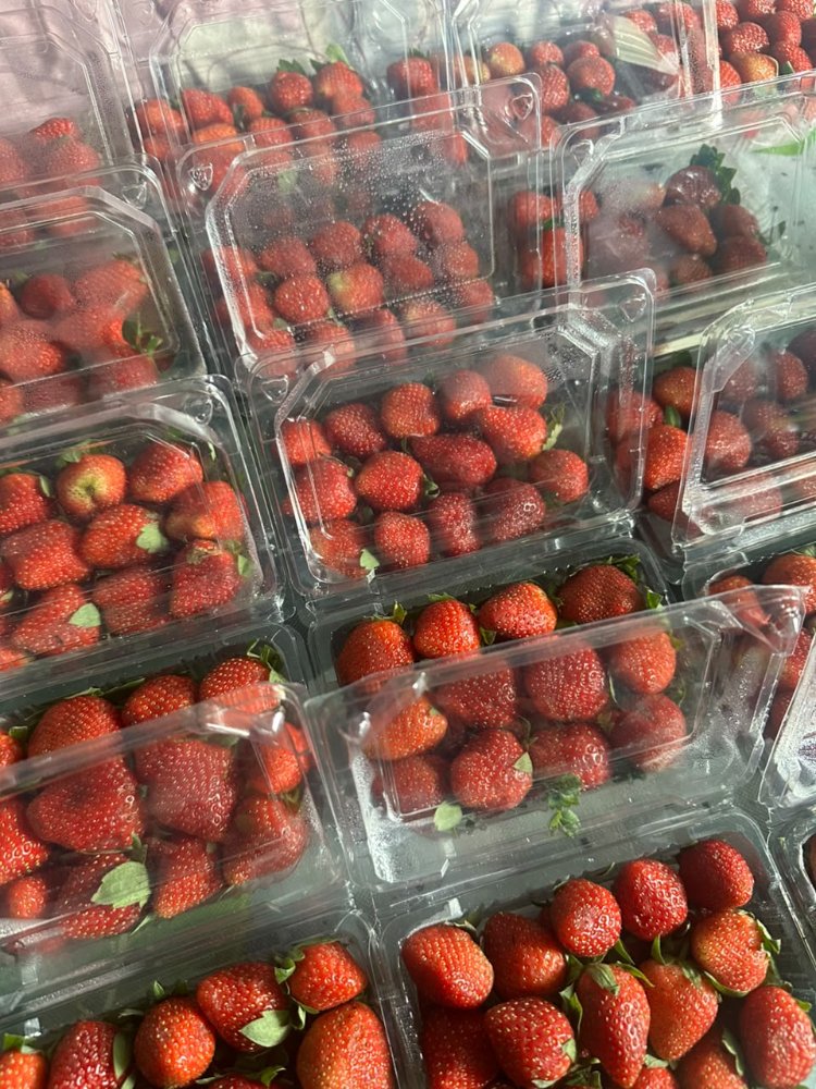 Strawberry Fresh / 2 pack / Grade AB