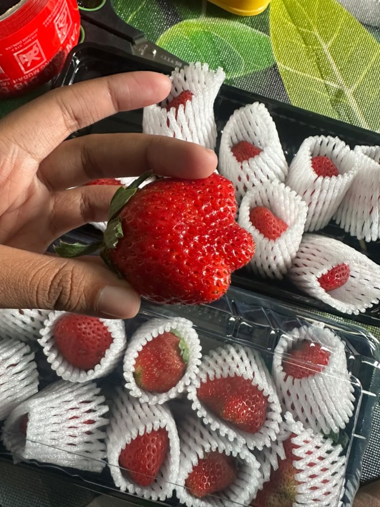Strawberry Fresh Jenis Delieve