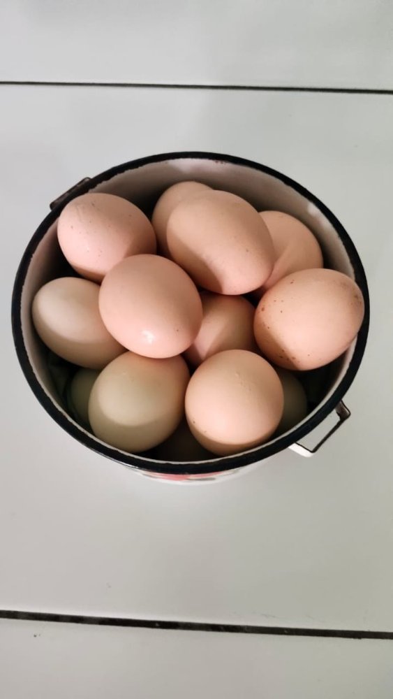 Telur Ayam Kampung Merah isi 6 butir