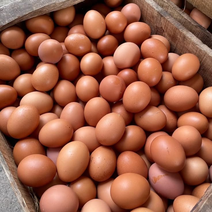 Telur Ayam Negeri isi 30 butir